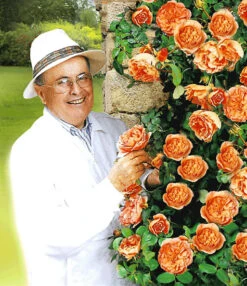 Set Clematis 'The President' & Klimroos 'Papi Delbard®' -Planten Verkaufsgeschäft 8901292916766