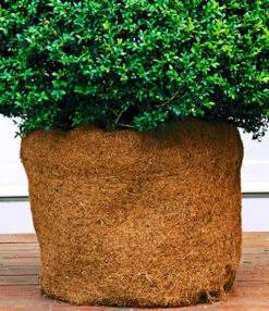 Kokos Beschermingsmat