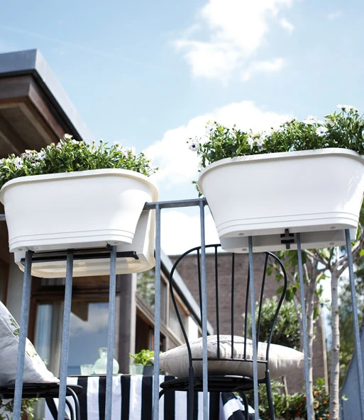 Corsica Flower Bridge® Wit, 60 Cm 2 Corsica Flower Bridge® Wit, 60 Cm – Bild 2