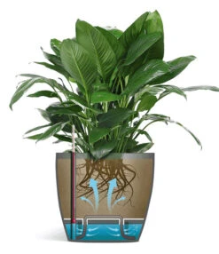 Emsa® Bloempot Casa Brilliant ø 28 Cm 'wit' 6 Emsa® Bloempot Casa Brilliant ø 28 Cm 'wit' -Planten Verkaufsgeschäft 8901669683230