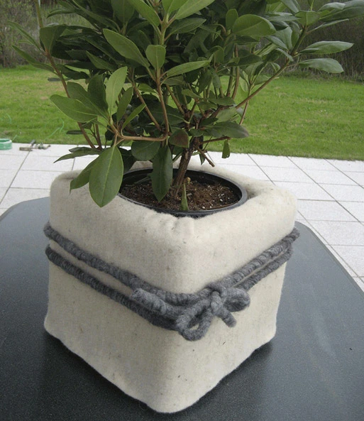 Winter Beschermingsmat Van Schapenwol 'natuurwit' 200x100 Cm 1 Winter Beschermingsmat Van Schapenwol 'natuurwit' 200x100 Cm