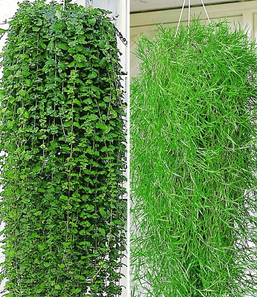 Balkon Collectie 1 Balkon Collectie