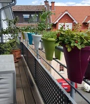 Corsica Flower Bridge® Cherry, 30 Cm ø 4 Corsica Flower Bridge® Cherry, 30 Cm ø – Bild 4