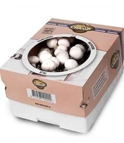 Champignon Kweek Collectie 4 Champignon Kweek Collectie – Bild 4