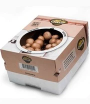 Champignon Kweek Collectie 5 Champignon Kweek Collectie – Bild 5