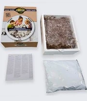 Champignon Kweek Collectie 6 Champignon Kweek Collectie – Bild 6