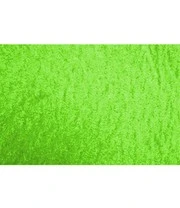 VEGTRUG Verhoogde Kweekbak 'groen' 4 VEGTRUG Verhoogde Kweekbak 'groen' – Bild 4