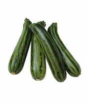 Verhoogde Kweekbak Zaadbox 5 Verhoogde Kweekbak Zaadbox – Bild 5