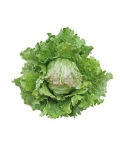 Verhoogde Kweekbak Zaadbox 7 Verhoogde Kweekbak Zaadbox – Bild 7