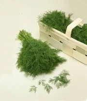 Vitaalbox Zaadbox 4 Vitaalbox Zaadbox – Bild 4