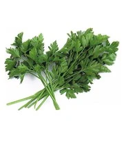 Vitaalbox Zaadbox 8 Vitaalbox Zaadbox – Bild 8