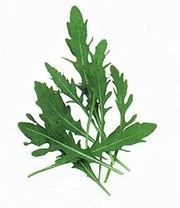 Vitaalbox Zaadbox 10 Vitaalbox Zaadbox – Bild 10