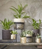 Plantenkrukje/Planten Standaard 'Ascot' 16,5 Cm 3 Plantenkrukje/Planten Standaard 'Ascot' 16,5 Cm – Bild 3