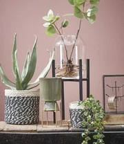 Plantenkrukje/Planten Standaard 'Ascot' 20,5 Cm 4 Plantenkrukje/Planten Standaard 'Ascot' 20,5 Cm – Bild 4