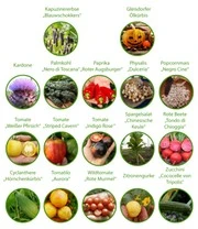 Rariteiten Schatkist Zaadbox 2 Rariteiten Schatkist Zaadbox – Bild 2