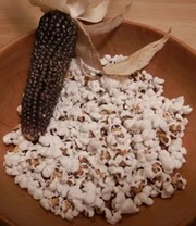 Rariteiten Schatkist Zaadbox 6 Rariteiten Schatkist Zaadbox – Bild 6