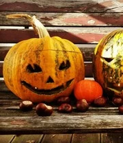 Rariteiten Schatkist Zaadbox 8 Rariteiten Schatkist Zaadbox – Bild 8