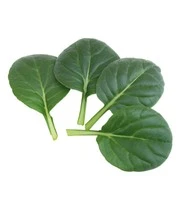 Groene Smoothies Zaadbox 8 Groene Smoothies Zaadbox – Bild 8