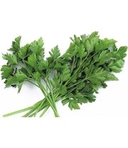 Groene Smoothies Zaadbox 10 Groene Smoothies Zaadbox – Bild 10