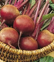 Sylt Zaadbox 3 Sylt Zaadbox – Bild 3