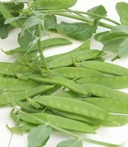 Sylt Zaadbox 4 Sylt Zaadbox – Bild 4