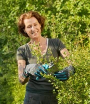 GARDENA® Handschoenen Voor Struikonderhoud Maat 9 / L 3 GARDENA® Handschoenen Voor Struikonderhoud Maat 9 / L – Bild 3