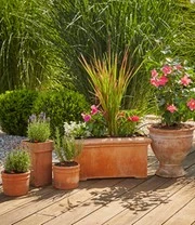 GARDENA® Micro-Drip-System Bloempotten Startset M 5 GARDENA® Micro-Drip-System Bloempotten Startset M – Bild 5