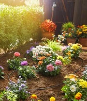 GARDENA® Micro-Drip-System Beplante Rijen Startset S 3 GARDENA® Micro-Drip-System Beplante Rijen Startset S – Bild 3