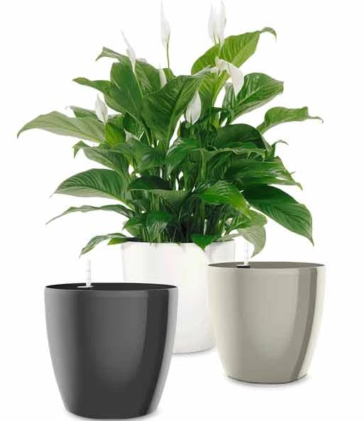EMSA® Casa Brilliant Bloempot ø 28 Cm 'grijs' 2 EMSA® Casa Brilliant Bloempot ø 28 Cm 'grijs' – Bild 2