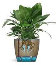 Emsa Bloempot Casa Brilliant ø 28 Cm 'grijs' 3 Emsa Bloempot Casa Brilliant ø 28 Cm 'grijs' – Bild 3