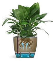 Emsa® Casa Brilliant Bloempot ø 35 Cm 'graniet' 3 Emsa® Casa Brilliant Bloempot ø 35 Cm 'graniet' – Bild 3