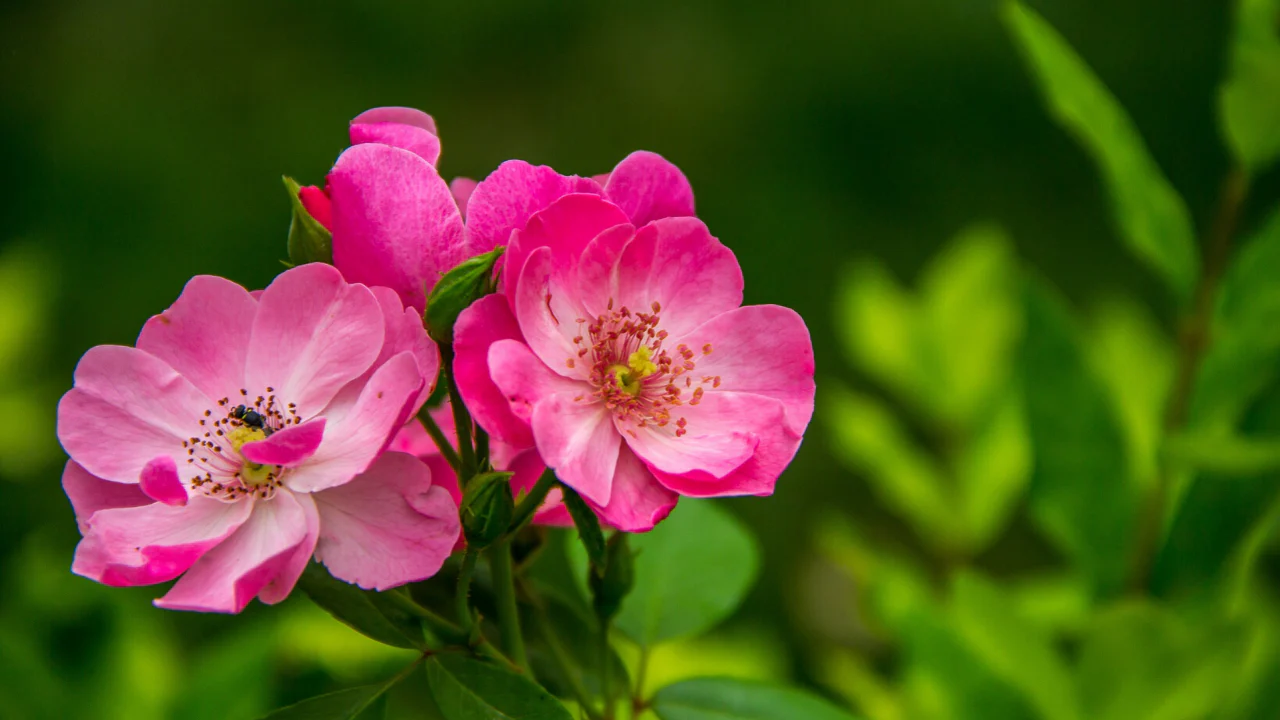 Planten Verkaufsgeschäft -Planten Verkaufsgeschäft 391378862237 3cbdd6ca dd44 4703 86a5